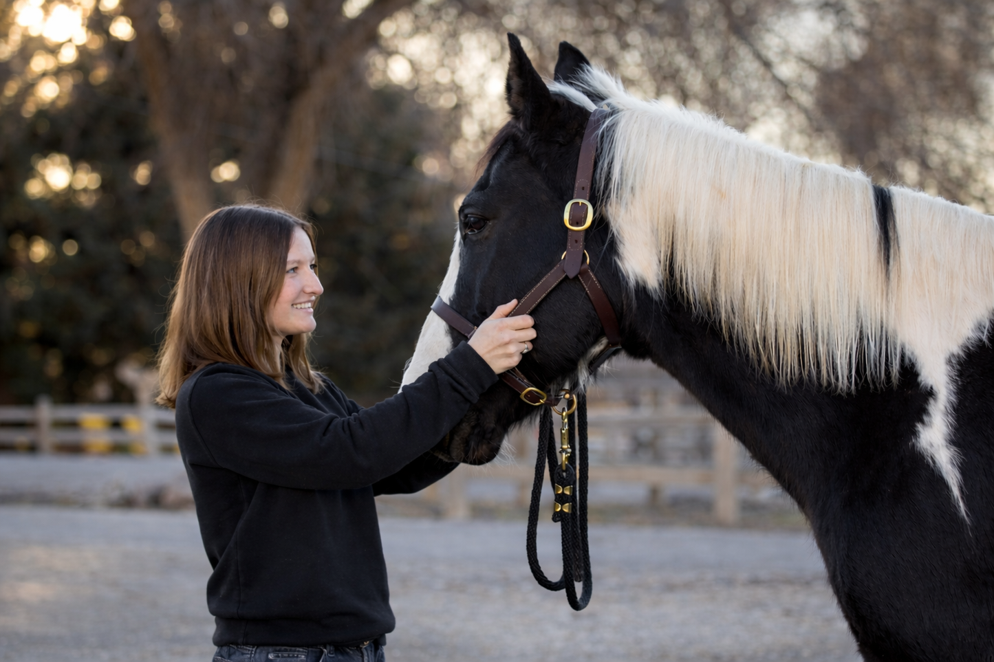 Equestrian Athletics Sweatshirt (Black)